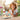 2024-05-22Icecreamshopcmjn-editwithicecreams_1296x_a72566c7-8b30-4ff6-87ae-8d0d67bfe3bb - Taylorson