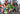 23688_1 - Taylorson