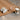 3302_2 - Taylorson