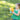 470547_lf-1 - Taylorson