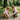 4819d67e-a486-4d44-9772-9db2e21bff8f - Taylorson