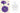 5008877_alt4 - Taylorson