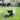 570934_6 - Taylorson