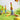 6_20187e71-3700-4620-9d53-3b4ce619cd11 - Taylorson
