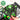 ASC_6-0240NeonColouringSet-OuterSpace_08a_2 - Taylorson