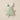 GreenTeaBunny - Taylorson