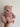 Image_20260316223251_197_61 - Taylorson