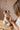 JamieKay-ElodieCollection-LocationLifestyle135 - Taylorson