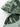 O1CN017gXeRh1fjHov45eGf__3033764042-0-cib - Taylorson