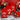 O1CN01hh0rIj29iJUkZxxKa__2217496138101-0-cib - Taylorson