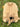 O1CN01jQUwfO1I5E7fclDfs__3246990841-0-cib - Taylorson