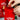 O1CN01vIGCEt29iJUtl5goF__2217496138101-0-cib - Taylorson