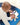 SH9J002110_6 - Taylorson