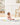 SH9Q280210_5 - Taylorson