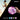 SOH78024_9 - Taylorson