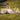 SafariOrganics1500x1500px_1500x1500_e0938bcc-a1e3-46b9-b5f5-22b8b1e97c9c - Taylorson
