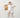 Screenshot_2025-01-08_at_11.27.06_AM - Taylorson