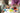 SmartGames_SGHP-006_Genius-Connection_lifestyle-shot-ecom_622a72 - Taylorson