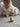 TK95017_5 - Taylorson