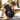 blackwrap_dad_1211 - Taylorson