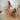 d2c8ce26-b4d8-4088-bd71-83271743ec99_-_web - Taylorson