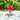 image_1784017045__20189 - Taylorson