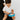 jelly-80-web - Taylorson