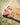 kinderfeets-playtent-7 - Taylorson