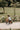 kinderfeets-tiny-tot-plus-trikebalance-bike-bamboo-3 - Taylorson