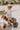 kinderfeets-tiny-tot-plus-trikebalance-bike-bamboo-5 - Taylorson