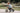kinderfeets-tiny-tot-plus-trikebalance-bike-slate-blue-7 - Taylorson