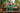 legobotanicals1_1100x_8cea801a-d0d2-455c-8e6b-50631c92a751 - Taylorson