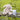 little-linen-barklife-dog-plush-toy-and-washers-gift-set-5 - Taylorson