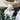 Little Linen Comforter - Farmyard Lamb Comforter - Taylorson