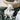 little-linen-comforter-farmyard-lamb-comforter-7 - Taylorson