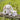 little-linen-harvest-bunny-plush-toy-and-washers-gift-set-5 - Taylorson