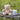 little-linen-nectar-bear-plush-toy-and-washers-gift-set-4 - Taylorson