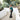 moby_pacific_2_hi - Taylorson