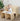 multipurpose-kids-activity-birch-wood-table-set-with-two-chairs-12 - Taylorson