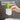 rs26629_b11326_cacti_eli_04-lpr - Taylorson