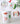 sticker_book4 - Taylorson