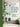 terrain-the-house-plant-book-by-melissa-lowrie-and-the-terrain-plant-team-1 - Taylorson