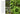 Terrain The House Plant Book by Melissa Lowrie and the Terrain Plant Team - Taylorson