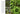 terrain-the-house-plant-book-by-melissa-lowrie-and-the-terrain-plant-team-2 - Taylorson