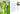 Terrain The House Plant Book by Melissa Lowrie and the Terrain Plant Team - Taylorson