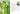 terrain-the-house-plant-book-by-melissa-lowrie-and-the-terrain-plant-team-4 - Taylorson
