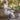 trail_bike_5_-_web - Taylorson