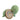 Turtle - Natural Rubber Organic Baby Rattle & Bath Toy - Taylorson