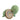 turtle-natural-rubber-organic-baby-rattle-and-bath-toy-1 - Taylorson