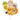 Wild Animal | Zoo Theme Birthday Balloon (10 Pack) - Taylorson